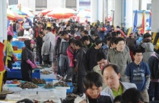 [포토뉴스]활기찬 어시장
