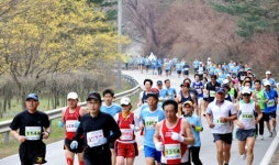 3천여 마라토너 춘천의 봄 질주