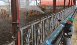[포토뉴스]구제역 확산 축산농가 비상