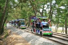 해안가에 레일바이크가