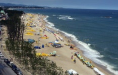 /도내 100개 여름해변 개장준비 끝/“올여름 강원도 해변으로 오세요”