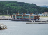 [동해]싱싱한 활어회 외국인 입맛 잡는다