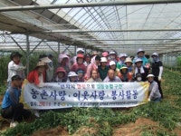 [포토뉴스]삼척농협 고향주부모임 농촌일손돕기