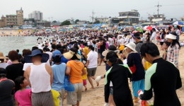 [포토뉴스]고성 천진해변 오징어맨손잡기 무료체험 축제