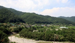 [新 강원기행]<80> 양양군 서면 공수전리 자두마을