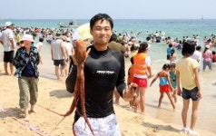 [포토뉴스]오징어 문어 맨손잡기 체험