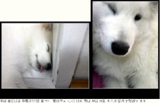 우리봉선이..진짜 있네~