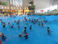 알펜시아 콘도·호텔 예약 끝