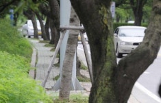 [강릉]경포로 인도, 자전거 도로 좀 넓혀주세요