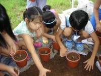 [춘천]“도심 벗어나 자연을 배워요”