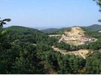 [양양]송이의 모든 것을 보여줄 테마파크 만들어진다