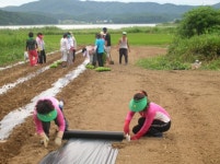 [포토뉴스]고성지역 새마을농장 조성작업