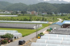 [新 강원기행]양구군 동면 원당리