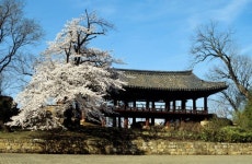 [삼척]죽서루 옛 풍류가 현대적으로 재현된다