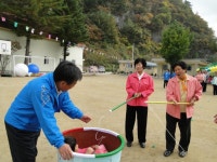 [정선]학교에서 딴 잣으로 장학금 만들었어요