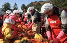 [원주] 황둔·송계마을에서 열린 사랑나눔 김장캠프