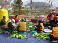 [포토뉴스]청일면 김치 전달