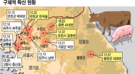 평창·화천 구제역 ··· 청정 강원이 뚫렸다