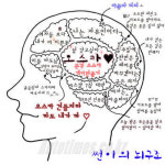 시크릿 가든 썬 이종석 뇌구조 화제