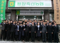[포토뉴스]평창영월정선축협 3·1절 건강달리기 완주 다짐