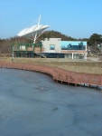 [新 강원기행](100) 고성군 죽왕면 삼포1리