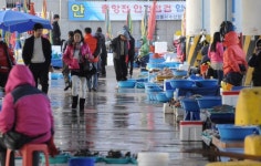 어판장이 썰렁해