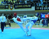 [포토뉴스]도협회장기 태권도대회