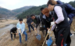 [춘천]“팔미천변 따라 희망 담은 나무 심어요”