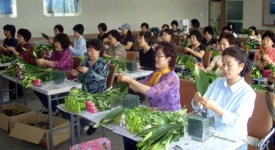 [포토뉴스]시농업기술센터 꽃꽃이 원예교실 인기