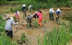 [포토뉴스]송어양식장 오·폐수 정화 수생식물 식재