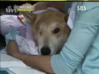 황구 새 가족 입양…“극복이 행복한 일들만 있기를”