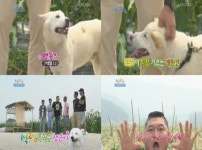 1박2일 백통이 등장…“주인 닮아 쑥스러움 많아”