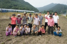 [포토뉴스] 금광골마을 코스모스 꽃밭 조성