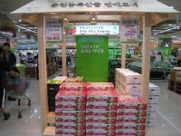 [춘천]“지역에서 직접 키운 농특산물 맛보세요”