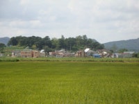 [新 강원기행] (120) 철원군 동송읍 대위리마을