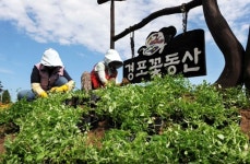 [포토뉴스]“가을하늘 아래 꽃동산 만들어요”