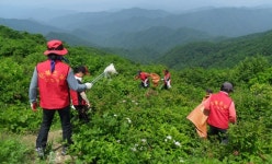 [포토뉴스]인제국유림관리소 산림정화 활동