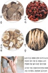 [웰빙라이프]위 약초 공통점은? 관절염에 좋다!