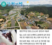 [新 강원기행](123) 횡성군 안흥면 안흥찐빵마을