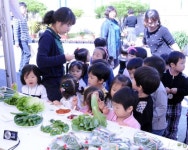 [홍천]“우리 고장 다양한 농특산품 우수성 확인”