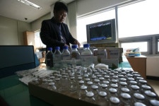 싸리나무 증류액 `만병통치약 속이고