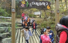 [포토뉴스]은혜어린이집 숲 체험 활동