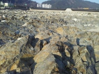 [인제]인제 앞강 소수력발전소로 생태계 파괴