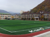 [삼척]학교 6곳 인조잔디구장 설치