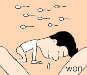 [생물이야기]새 생명을 위한 질주본능