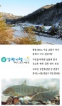 [新강원기행](130) 홍천군 내면 명개리 - 열목어마을