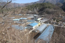 다양한 동식물 서식 천혜의 자연환경