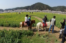 [삼척]`봄 내음 살랑살랑 상춘객 삼척에 취했다