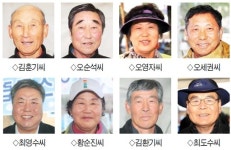 [신강원기행] “우리가 운영하는 벚꽃축제 최고로 만들고 싶어…직접 담근 찹쌀막걸리 맛 보면 반할걸”