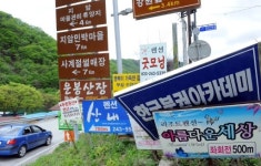 [포토뉴스]어지럽게 늘어선 관광지 안내표지판